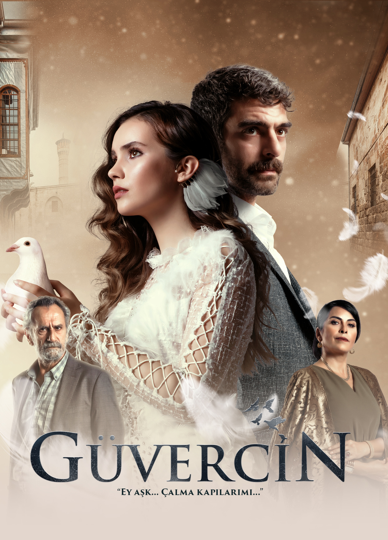 Güvercin Güvercin