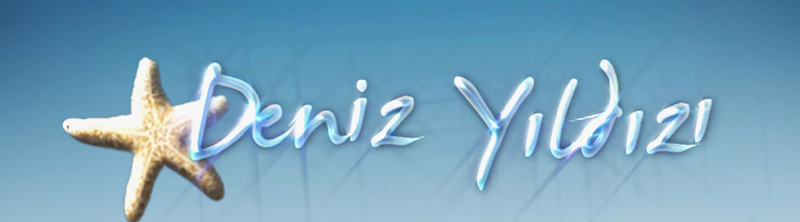 Deniz Yıldızı Deniz Yıldızı
